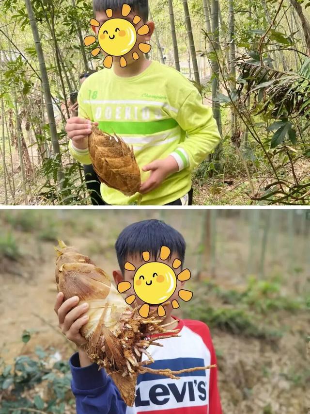 从化寻宝挖冬笋，摘砂糖橘任意吃，土窑烤披萨，DIY非遗竹节人！