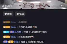 晋快评 | 直播间里的猫粮，喂饱了谁的荷包？图片