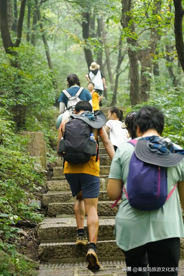 国庆中秋不用人挤人！ 祖山山野艺术季：市集×徒步×游园全攻略！