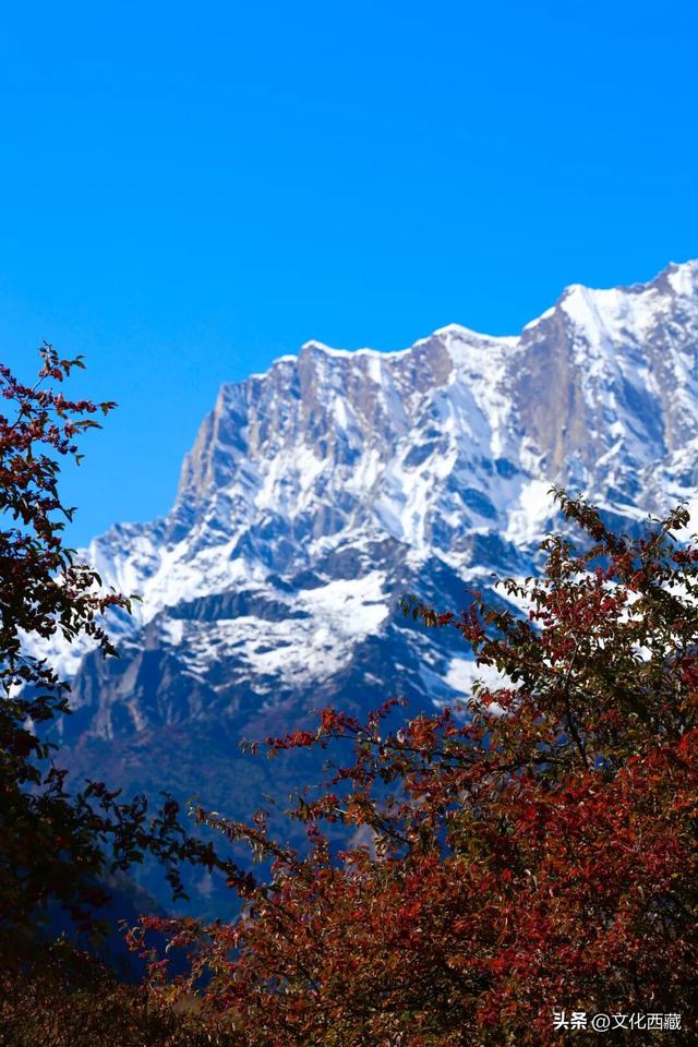 童话书里走出来的秋景！这座低调的西藏宝藏小城，早就该火了！