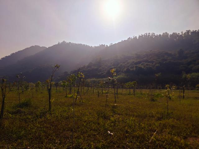 塘朗山郊野公园火车道口与绿平二路段，爬坡酸爽，骑友的天堂