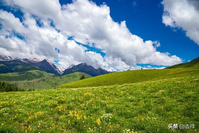 养老热议：如何守护晚年幸福？新型养老方式来了，挑战传统观念！