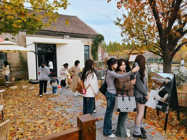 董宇辉力荐山东！潍坊，邀你赴约~