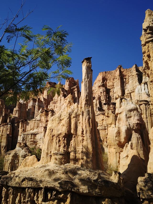 南行漫记：一起来元谋逛土林的人们