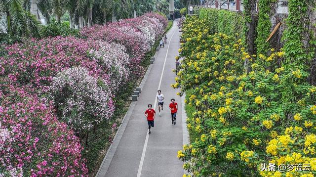 紧急通知：夏天爱跑步的人注意了。