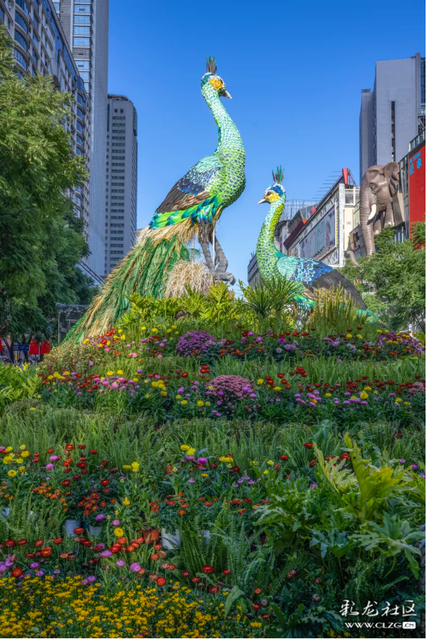 旅居云南·昆明好在（二十七）漂亮街景打卡点，成为游客心头好