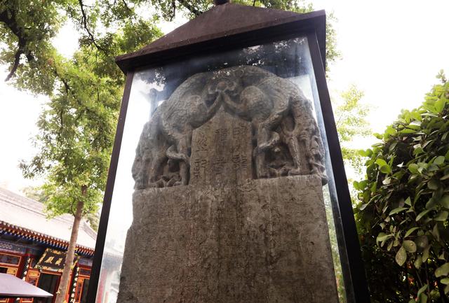 文化中国行||西北第一禅林：西安卧龙寺