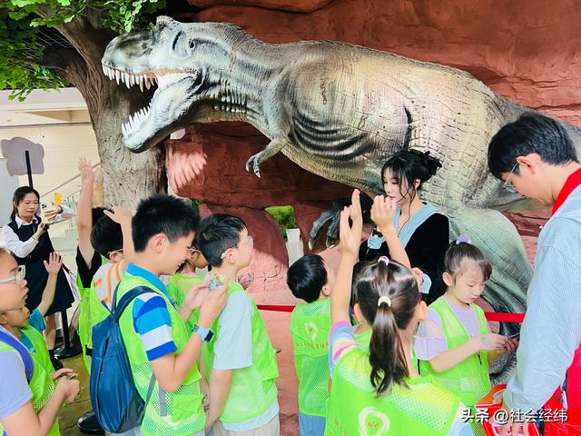 “探秘古生物 智趣共成长”：建邺多机构联合开展魔方趣味活动