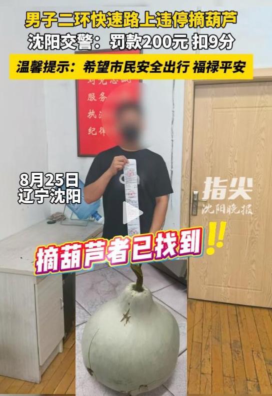 摘葫芦男“社会性死亡”：处罚曝光，婚礼取消，脸面和幸福都没了