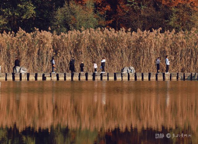 冬日暖阳下，打卡贵阳观山湖公园的绝美风景