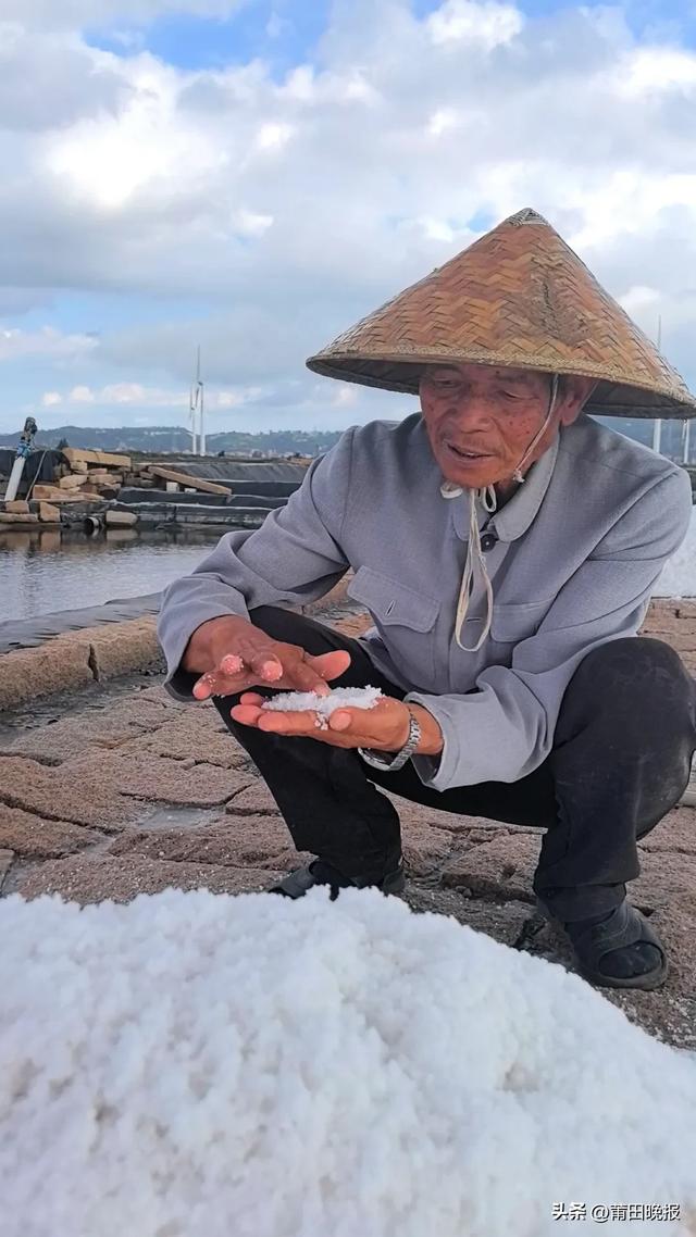 晚报记者带你探寻千年盐场的生态密码