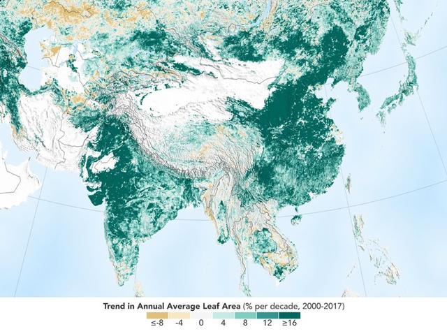 植树造林无用？中国森林覆盖率超25%，为何40度高温还不断