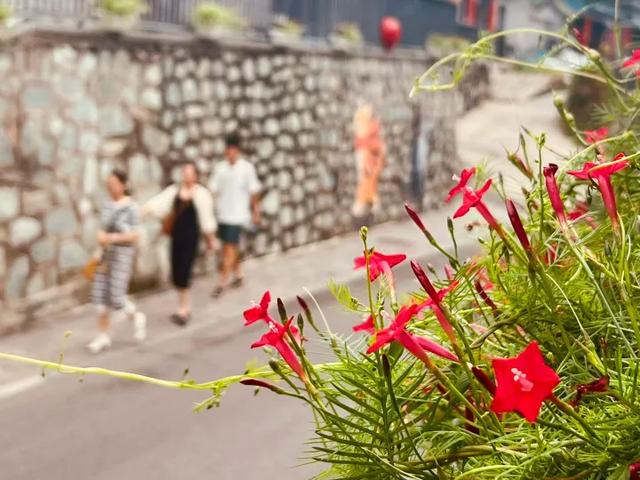 “花漾”漫染千年古道！模式口以繁花织就京西生态人文画卷