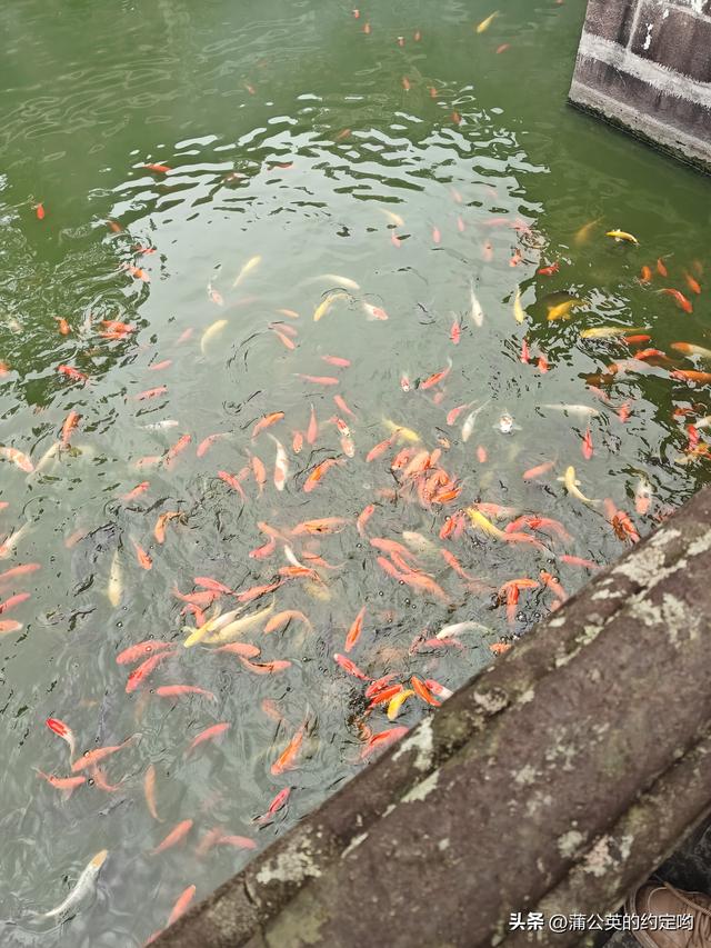 有时间多出去走走