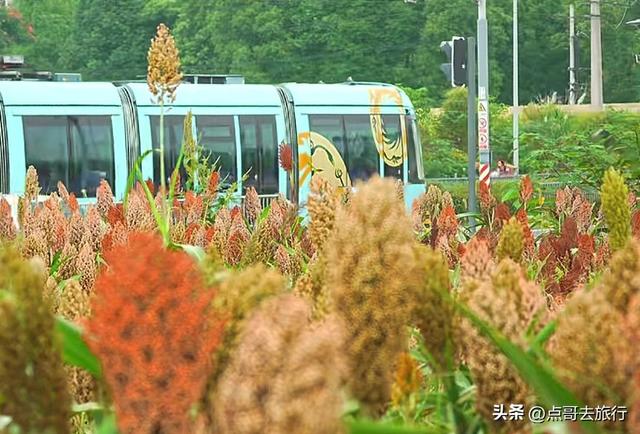 成都5个小众景点，每一处都让人惊讶，不要门票，地铁公交直达！