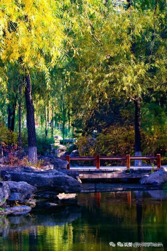 什么是美？文明榆阳给你答案