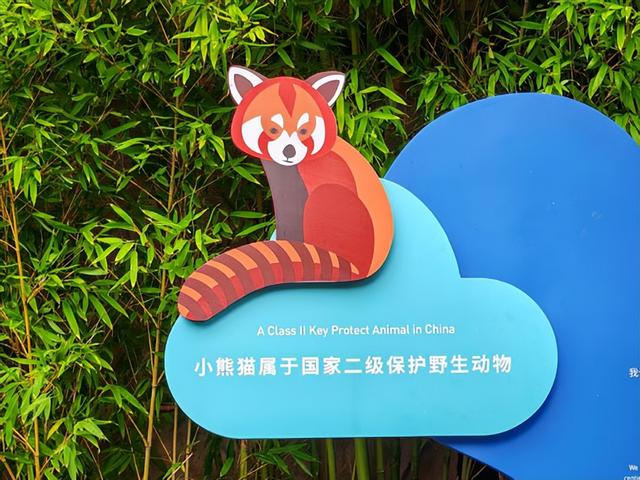 四川旅游：从熊猫基地到三星堆博物馆（图）