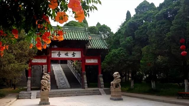 凉爽！开封这些地方，超适合夏天打卡