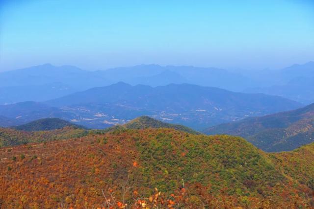 渑池坡头红叶拍摄记：一场迟来的秋日邂逅