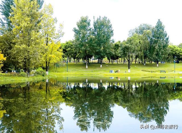 成都主城区最大人工湖，秋天超级惊艳，不要门票，地铁公交直达！