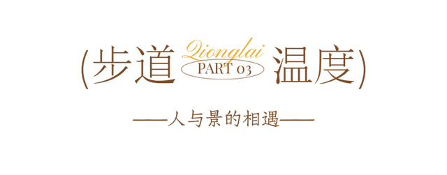 冬崃｜在泉水湖湿地公园，收藏整个冬天的浪漫与生机~