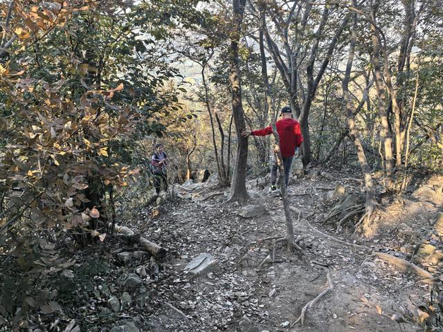 南京紫金山郊野徒步