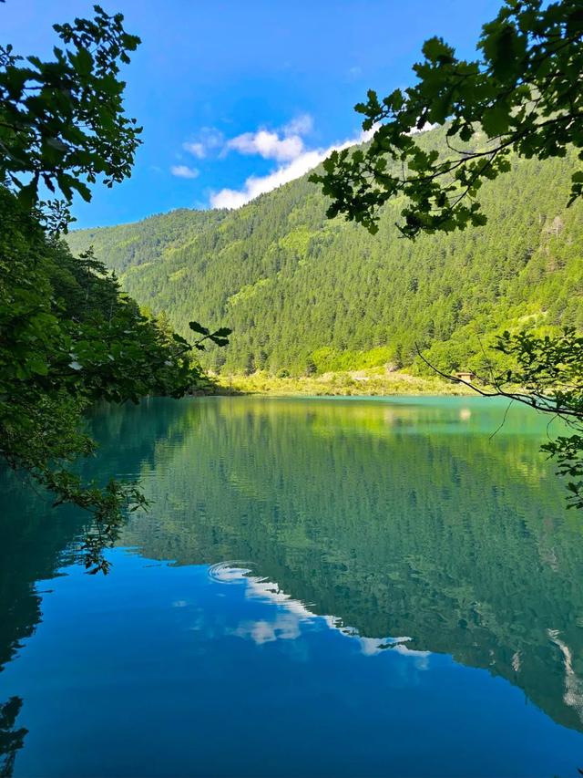 鱼跃天际、鸟翔水底，九寨沟邀你共赏夏日奇景~