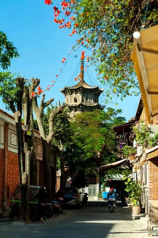 刺桐酝酿着「花事」，这场「盛事」也即将在泉州开启！