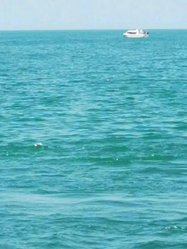 博斯腾湖不是湖，这是西海！