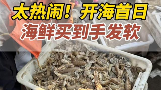 壮观！山东威海开海啦！千帆竞发，海鲜肥美，快来旅游！