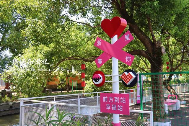 浙江宁波这片花海不仅变身荷塘，还新增许多游乐项目，太值得游玩