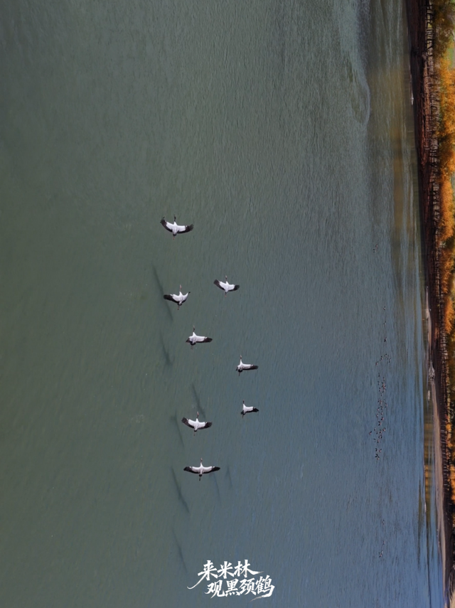 这个冬天，一定要来西藏看……