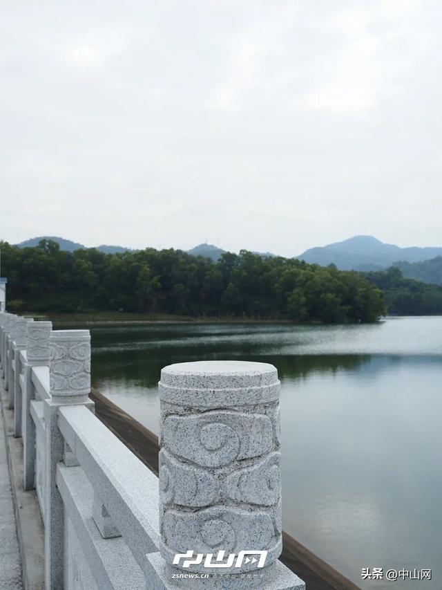 太出片啦！中山焦糖色「落羽杉」上线