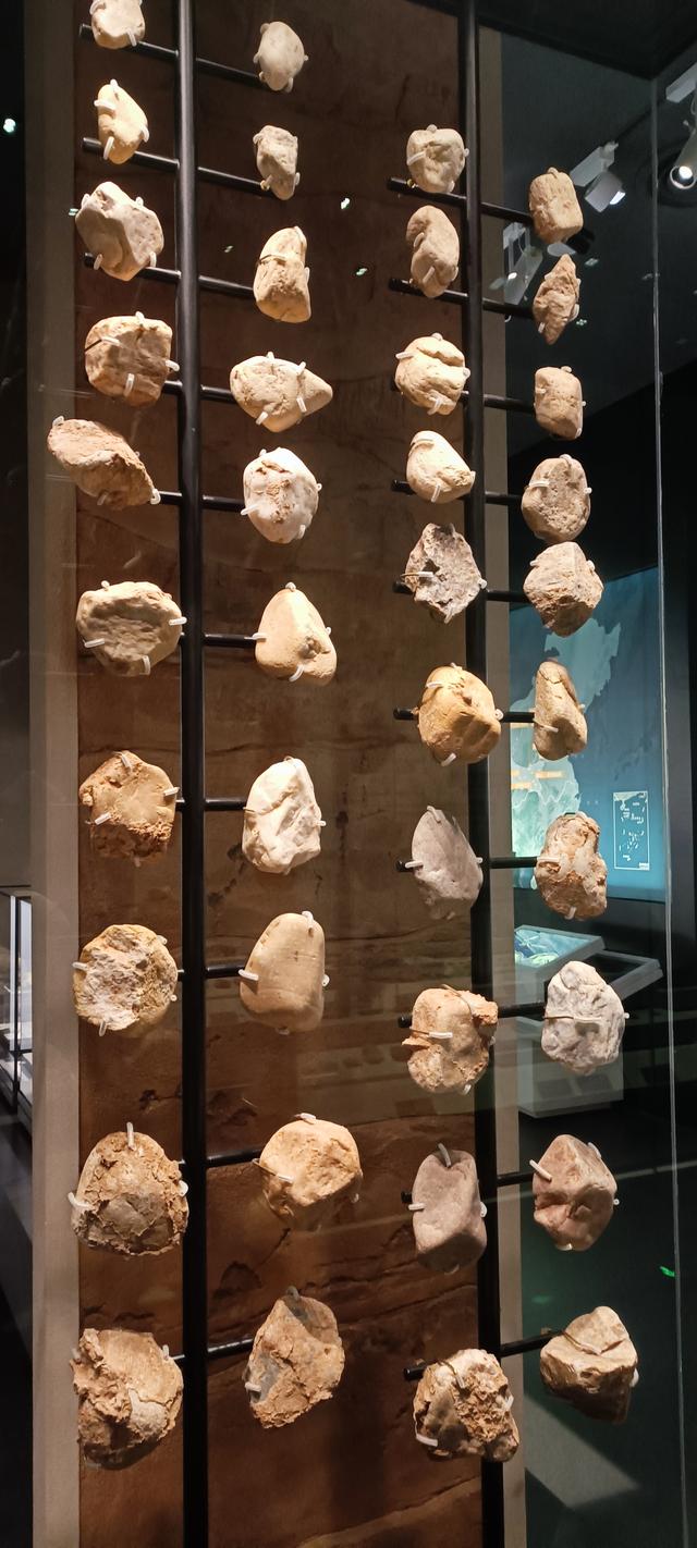 那么近，那么美，周末到商洛了——大美商洛秦岭博物馆