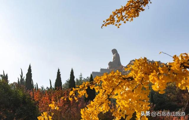 别再问赤山红叶什么时候最红！这趟“山海秋礼”才是真浪漫