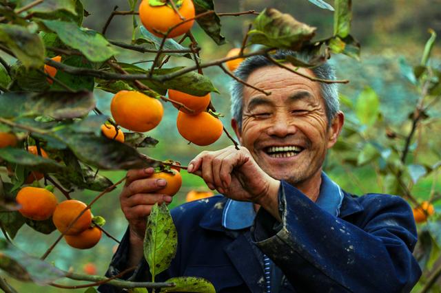 大家发现没有，在农村凡是存款几十万以上者，绝大多数都是这些人