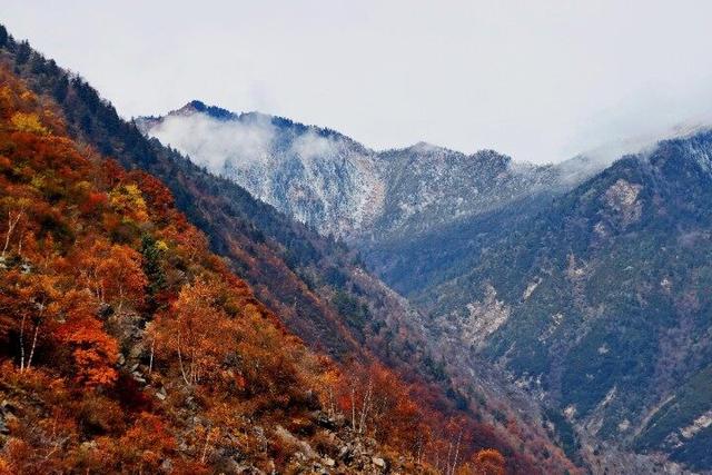 四川这个地方的初冬，是彩色的！