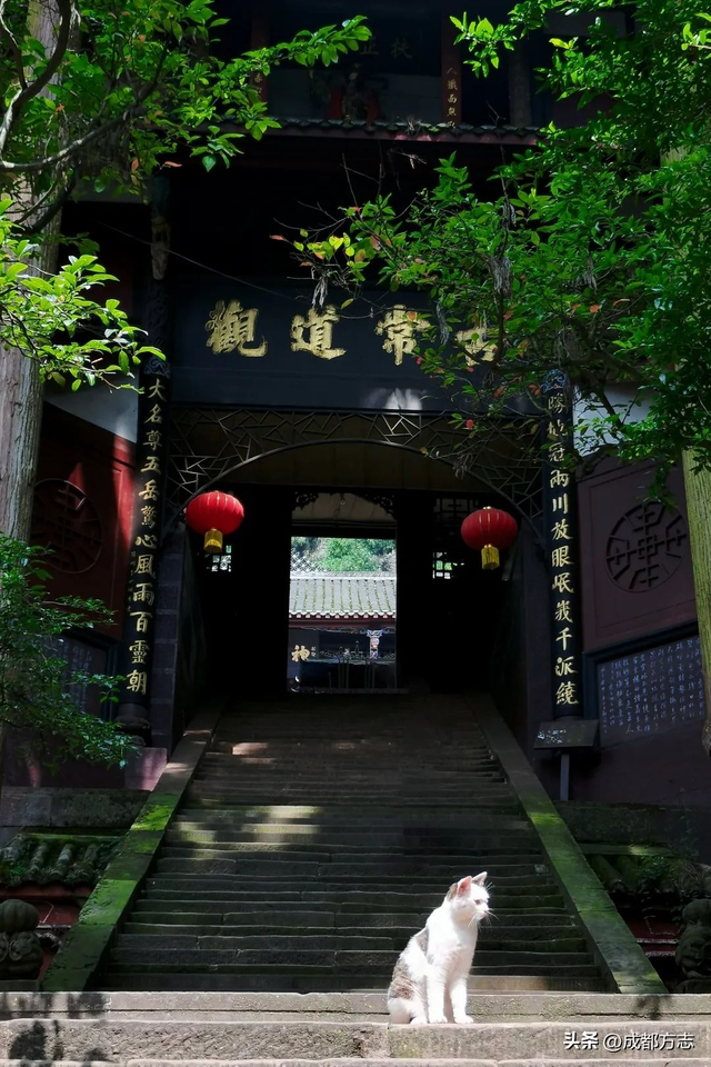 还有谁！比青城山和赵雅芝还绝配