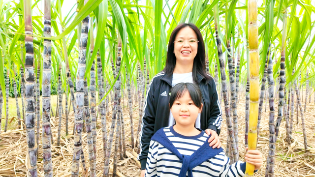 风吹蔗浪！孝昌这片田园风光藏不住了