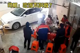 人类动物倒霉搞笑瞬间图片