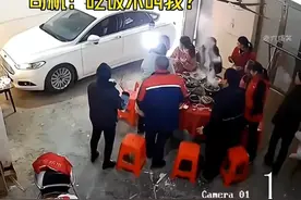 人类动物倒霉搞笑瞬间图片