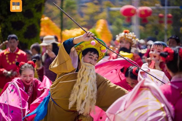 在樱花树下,看见春天!2026洛龙公园第三届樱花节开幕首日迎5万人次打卡