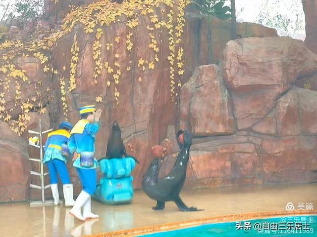 常州中华恐龙园游记