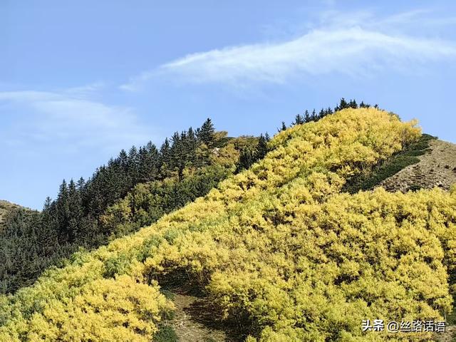 图集丨秋色斑斓 步入绿野仙踪的秘境——焉支山