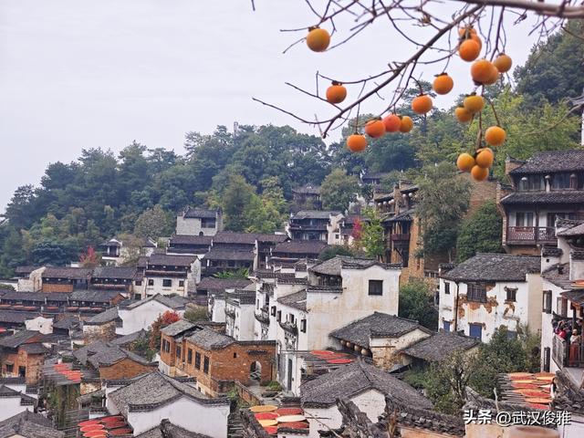 篁岭晒秋正当时！邂逅“最美中国乡村”的限定色彩