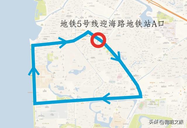 昆明人私藏观鸥地图+观杏!滴滴6折立减35元打车券直接薅