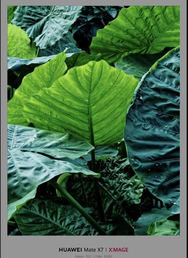 3000元买手机纠结症，拍照续航性能全都要，这份攻略让你不再被坑