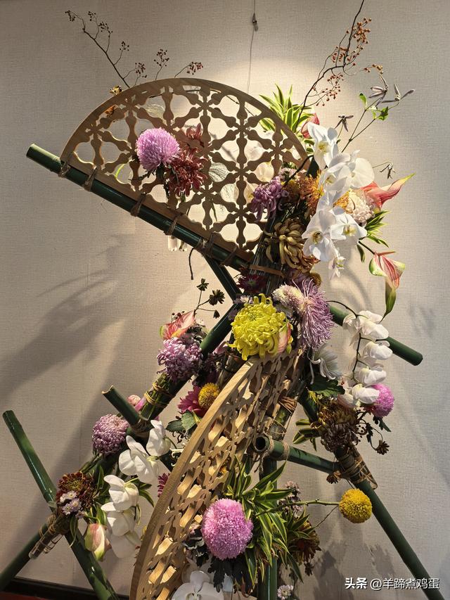 秋风独宠一园菊，晚来香艳出樊篱——北京北海公园2025年菊花展