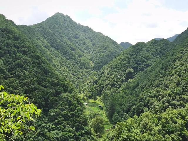 我的妻，岁月里的暖光