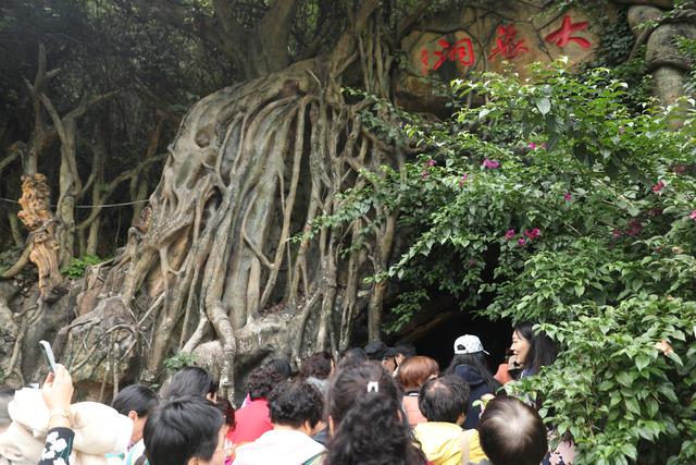 巴山大峡谷秋意浓，今年首趟跨省“环秦岭”赏秋银发旅游专列开行
